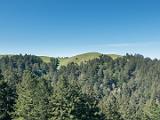 Mt Tamalpais 005